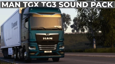 MAN TG3 TGX Stock sound v1.3.1 1.49