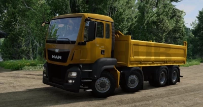 MAN TGX/TGS V1.0 0.32