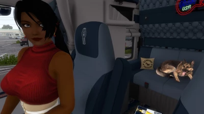 Momiji co-driver remake v1.0