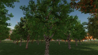 Orchards Fruits v1.0.0.1
