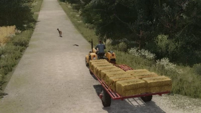 Small Bale Trailer v1.0.0.0