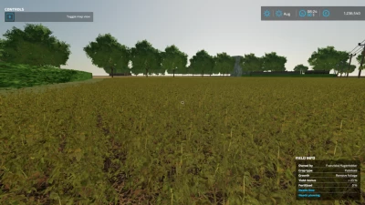 MONEWDEN UPDATE v2.0.0.0