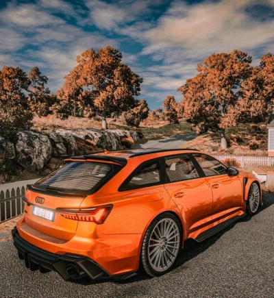 Audi RS6 0.34.x