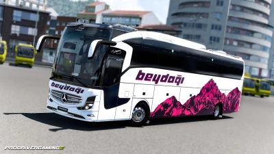 Beydağı Turkish bus Skin for Mercedes Benz Travego v1.0