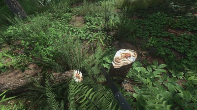 Forest Machete v1.0.0.0