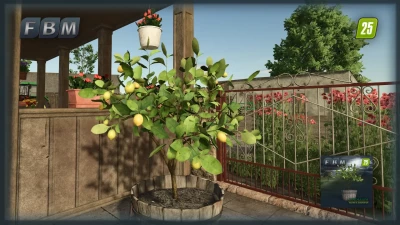 Lemon Tree v1.0.0.0