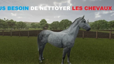 No need to clean horses anymore v1.0.0.0