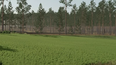 Pinewood Forest v1.2.2.0