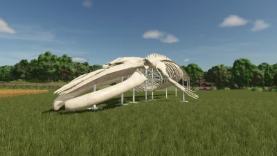 Whale Skeleton Sculpture v1.0.0.0