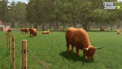 Baby Highland Cattle! Highlands Fishing Preview v1.0.0.0