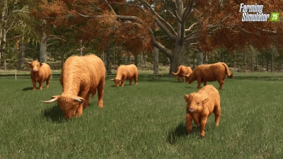 Baby Highland Cattle! Highlands Fishing Preview v1.0.0.0