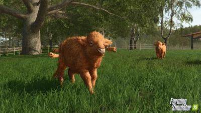 Baby Highland Cattle! Highlands Fishing Preview v1.0.0.0