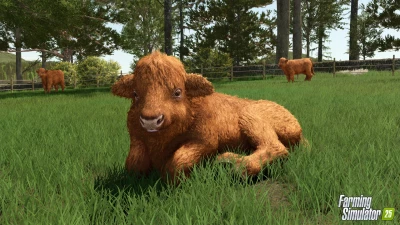 Baby Highland Cattle! Highlands Fishing Preview v1.0.0.0