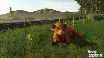 Baby Highland Cattle! Highlands Fishing Preview v1.0.0.0