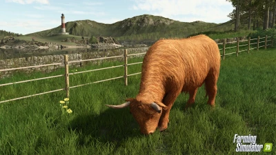 Baby Highland Cattle! Highlands Fishing Preview v1.0.0.0