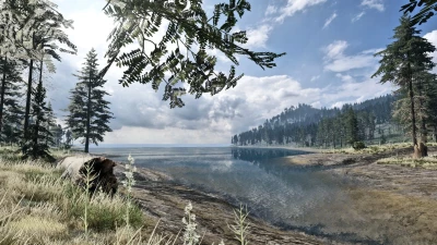 Blackwood Bluff Map 0.37
