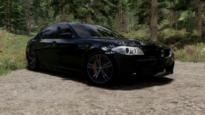 BMW 5-Series F10 v6.0 0.37.x