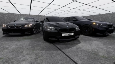BMW M5/5-Series V1.0