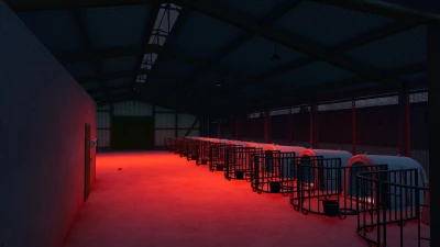 Calf Village v1.0.0.0