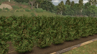 Fruit orchards v1.2.0.5