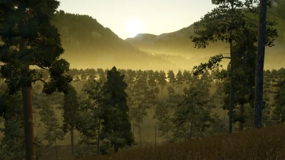 Greenwood Forest v1.0.0.0