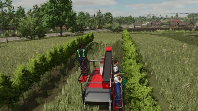 Harvest Brigade Multifruit v1.0.0.0