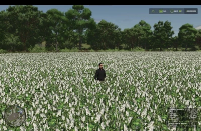 Jinkou89's Multifruit and Production (Prefab) v1.0.0.3