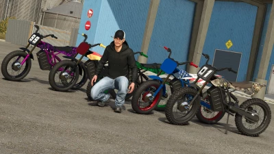 Lizard DT-E v1.0.0.0