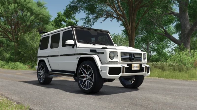 Mercedes Benz G65 AMG v1.3.0.1