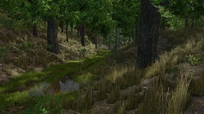 Palatinate Forest v1.0.0.0