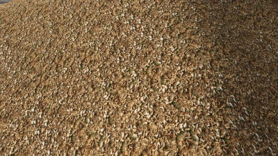 Woodchip Texture v1.0.0.0