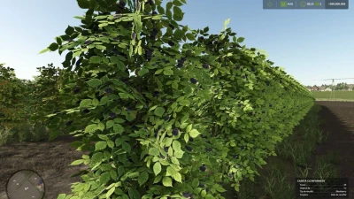 Zielonka Real Orchards Multifruit Beta 2 v1.0.0.0