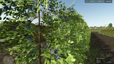 Zielonka Real Orchards Multifruit Beta 2 v1.0.0.0