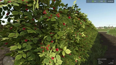Zielonka Real Orchards Multifruit Beta 2 v1.0.0.0