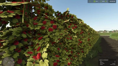 Zielonka Real Orchards Multifruit Beta 2 v1.0.0.0