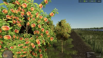 Zielonka Real Orchards Multifruit v1.0.0.0