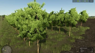 Zielonka Real Orchards Multifruit v1.0.0.0