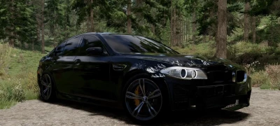 BMW 5-Series (F10) (2012-2016) v7.2 0.37.x