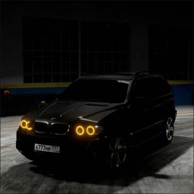 BMW X5 E53 0.33