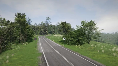 DK28 Wujskie - Tyrawa Wołoska, Podkarpackie, Poland v1.0 0.37.x