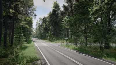 DK28 Wujskie - Tyrawa Wołoska, Podkarpackie, Poland v1.0