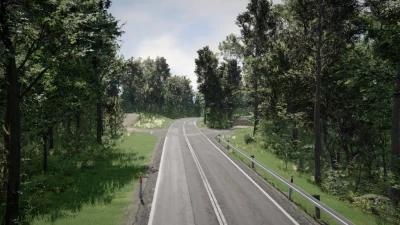 DK28 Wujskie - Tyrawa Wołoska, Podkarpackie, Poland v1.0