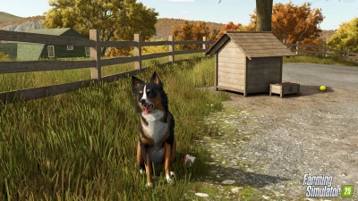 Farming Simulator 25 Update v1.14.0.1