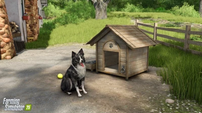 Farming Simulator 25 Update v1.14.0.1