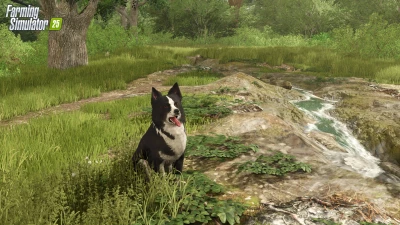 Farming Simulator 25 Update v1.14.0.1