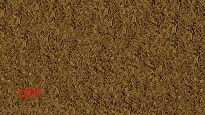 FillPlane textures pack v1.0.0.0