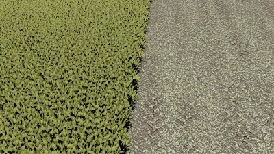 FS22 SUGARBEET TEXTURE - ROWCROP READY v1.0.0.0