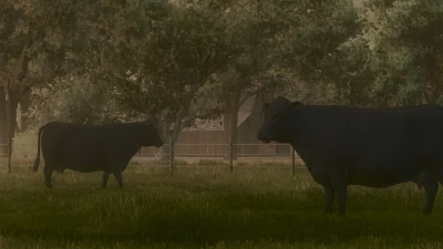 FS25 MFT Reshade v1.0.0.0