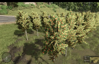Hutan Pantai Real Orchards Multifruit v1.0.0.0