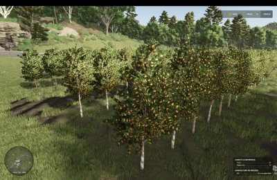 Hutan Pantai Real Orchards Multifruit v1.0.0.0